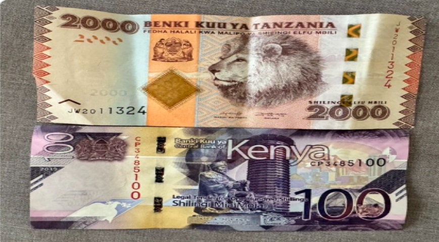 Kenya Tanzania Notes Debate